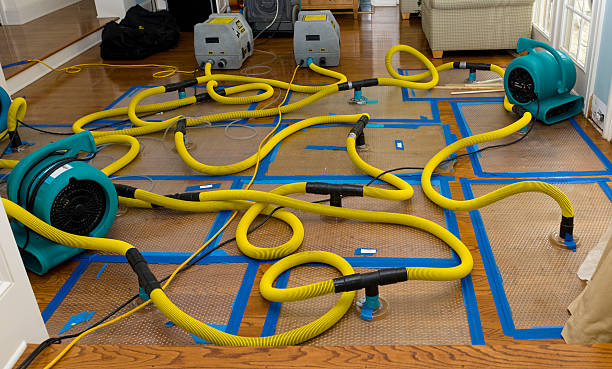 Professional Crawl Space Water Removal technician working in Counselor, NM